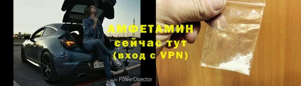 ГАЛЛЮЦИНОГЕННЫЕ ГРИБЫ Тайга