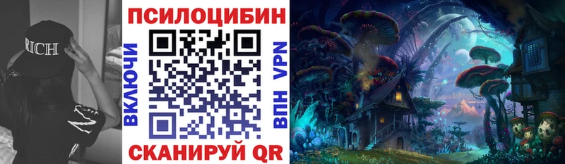 Псилоцибиновые грибы Psilocybe Бугульма